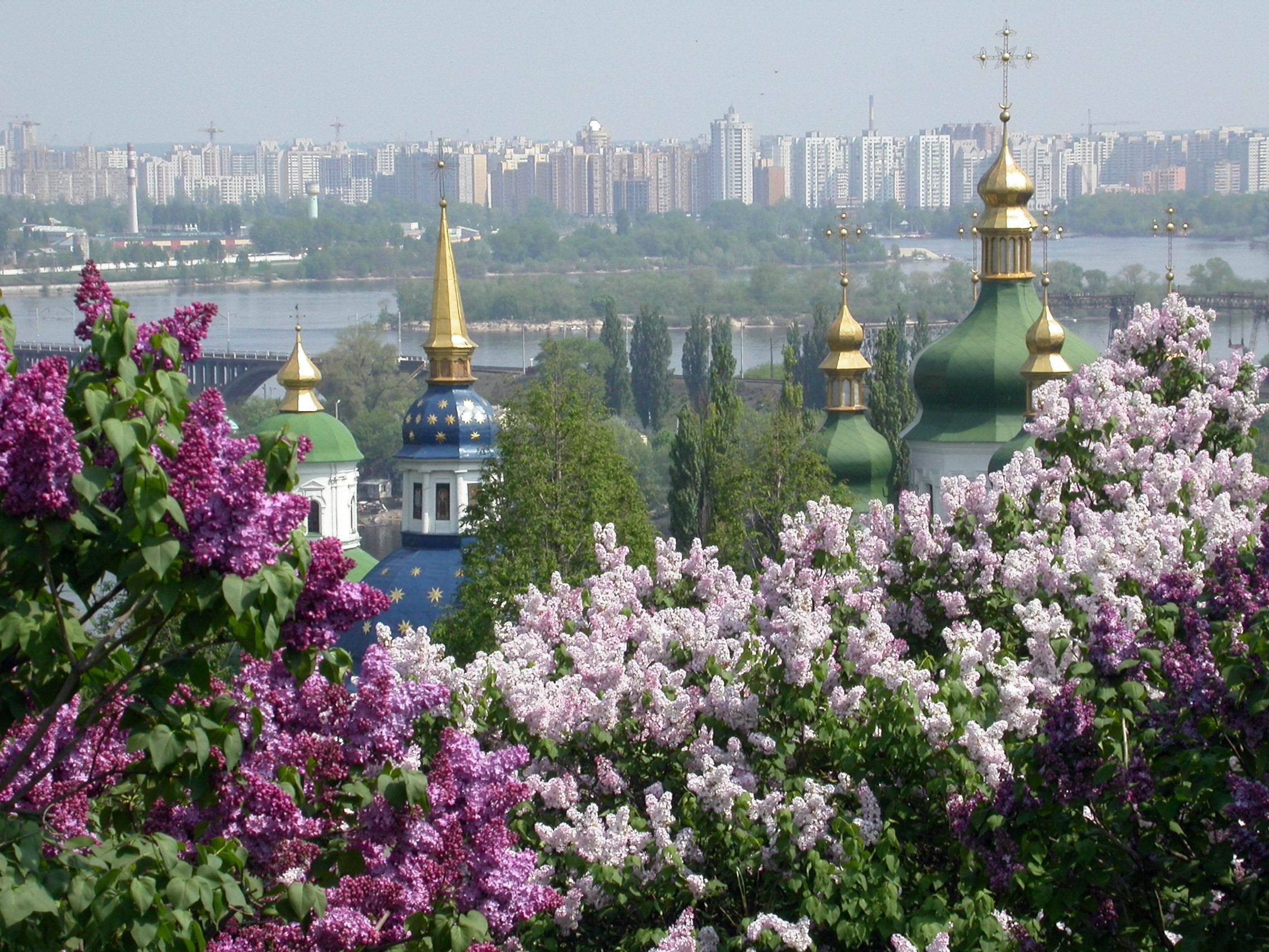 Kiev-ukraine-lavender
